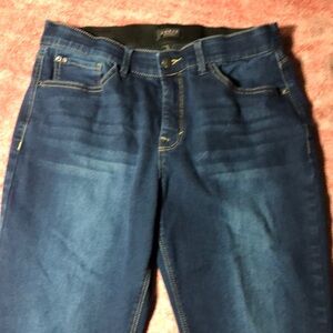 Curve Appeal 12/31 essential stretch skinny jeans Women